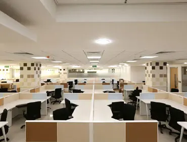 Corporate Office Carpentry