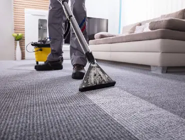 Carpet Dry Cleaning Services